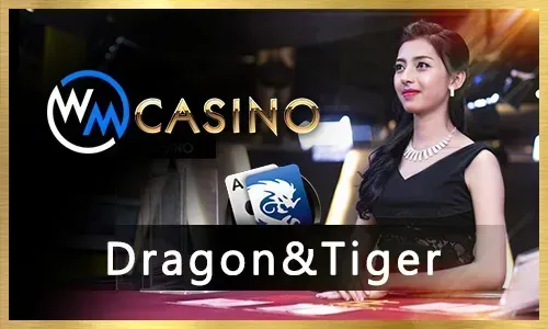 Live Casino Provider D
